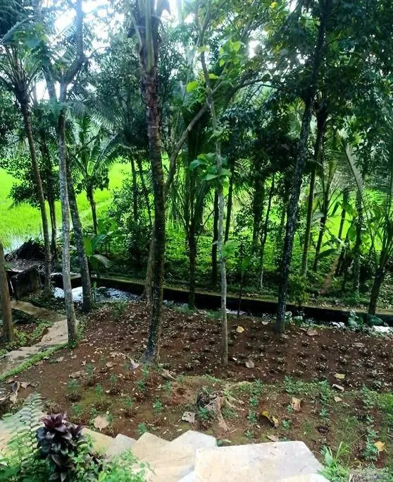 Nice House, Quiet Place Overlooking Rice Fields Ubud  Villa Ubud (Bali)