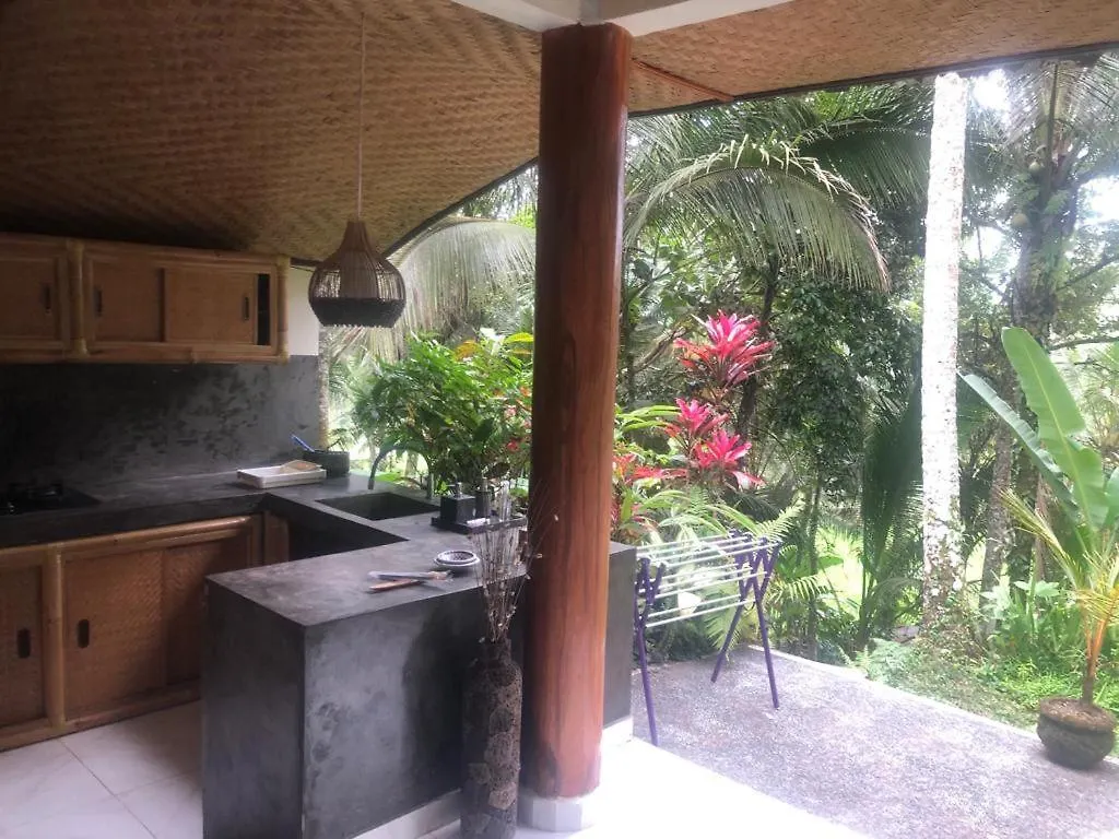 Villa Nice House, Quiet Place Overlooking Rice Fields Ubud  Indonesia