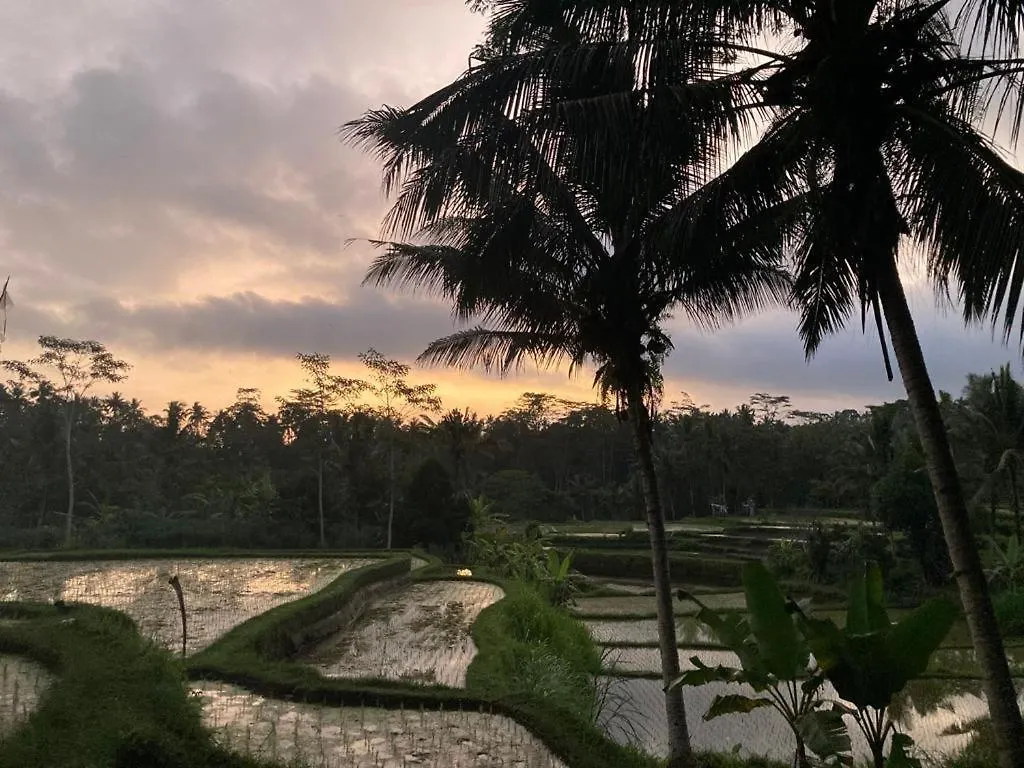 Villa Nice House, Quiet Place Overlooking Rice Fields Ubud
